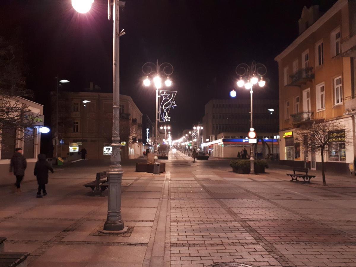 Apartament Centrum Sienkiewicza Wieza Eiffla Promenada -Klimatyzacja- Kielce Dış mekan fotoğraf